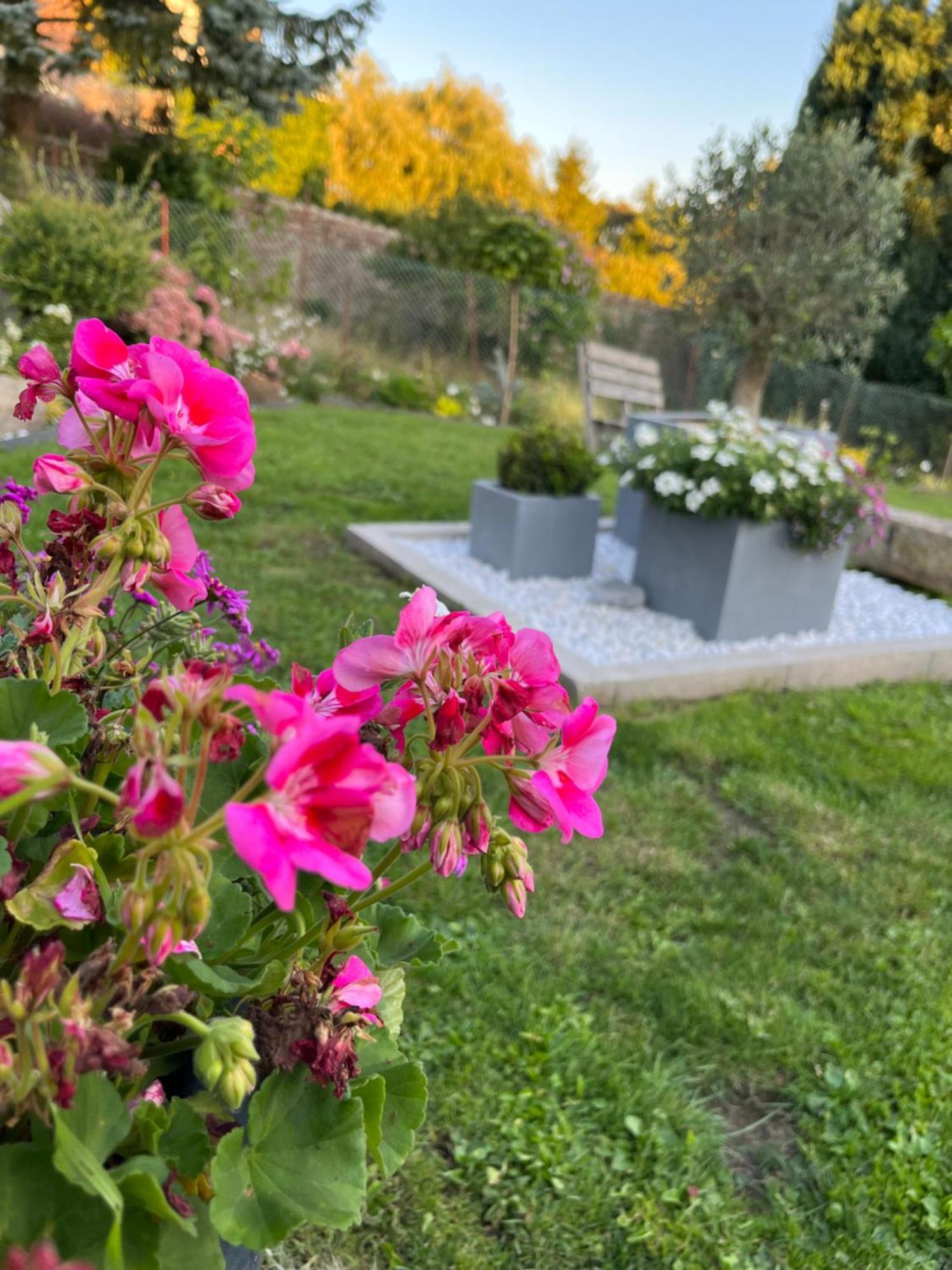 Le Petit Paradis Cassel Zewnętrze zdjęcie