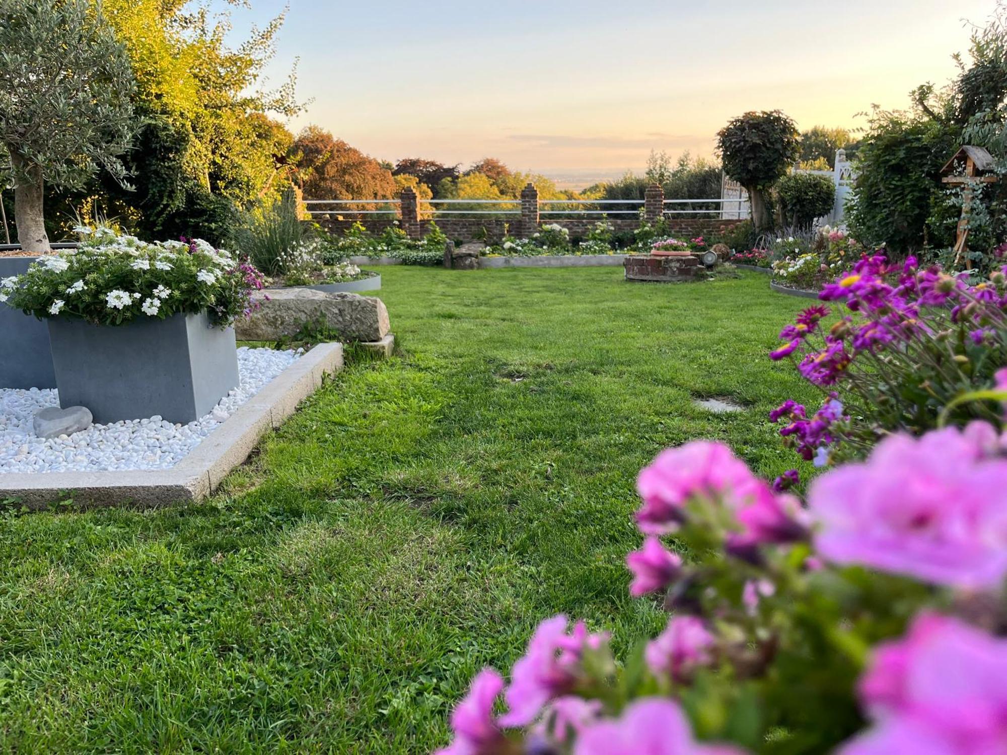 Le Petit Paradis Cassel Zewnętrze zdjęcie
