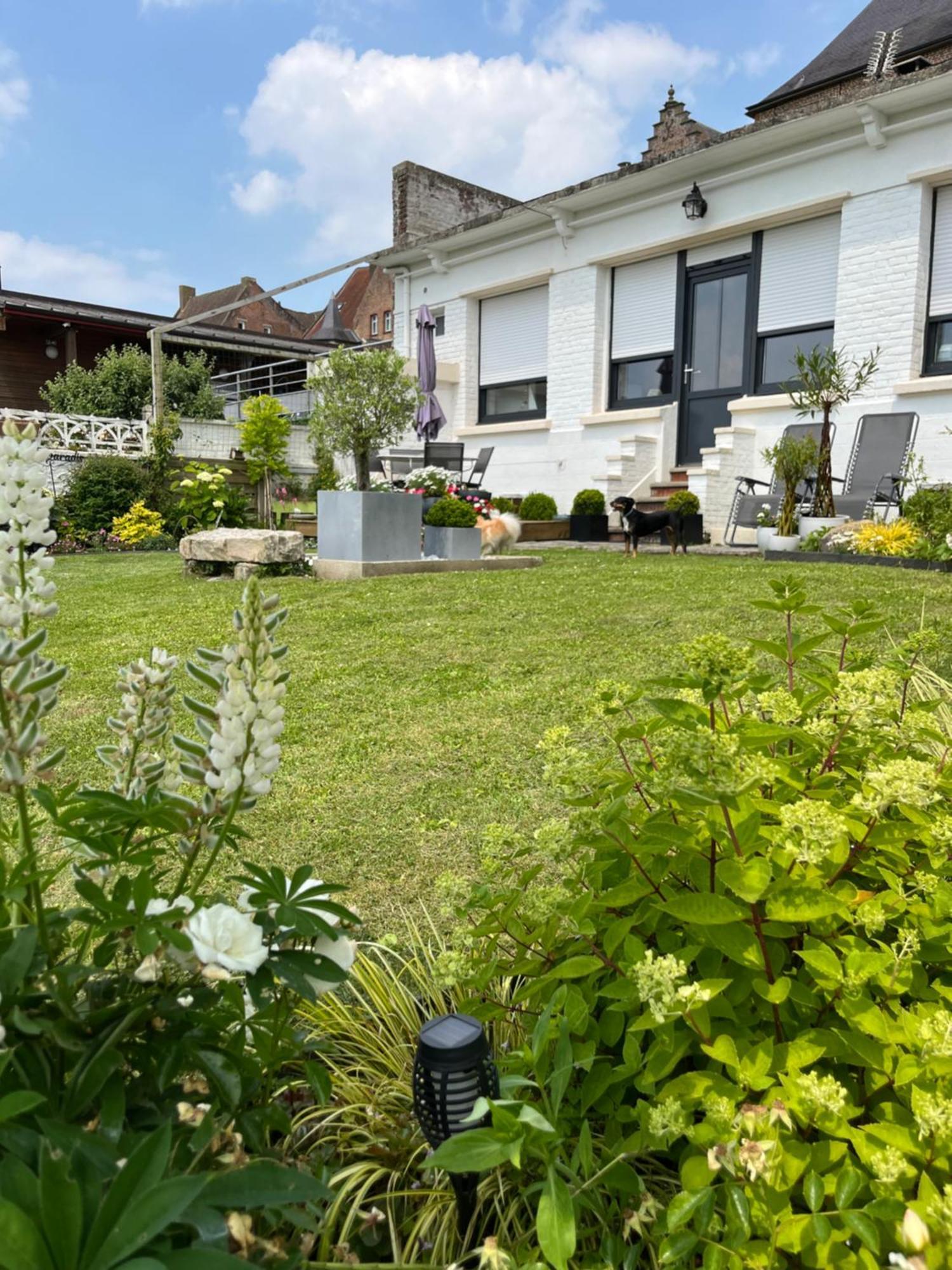 Le Petit Paradis Cassel Zewnętrze zdjęcie